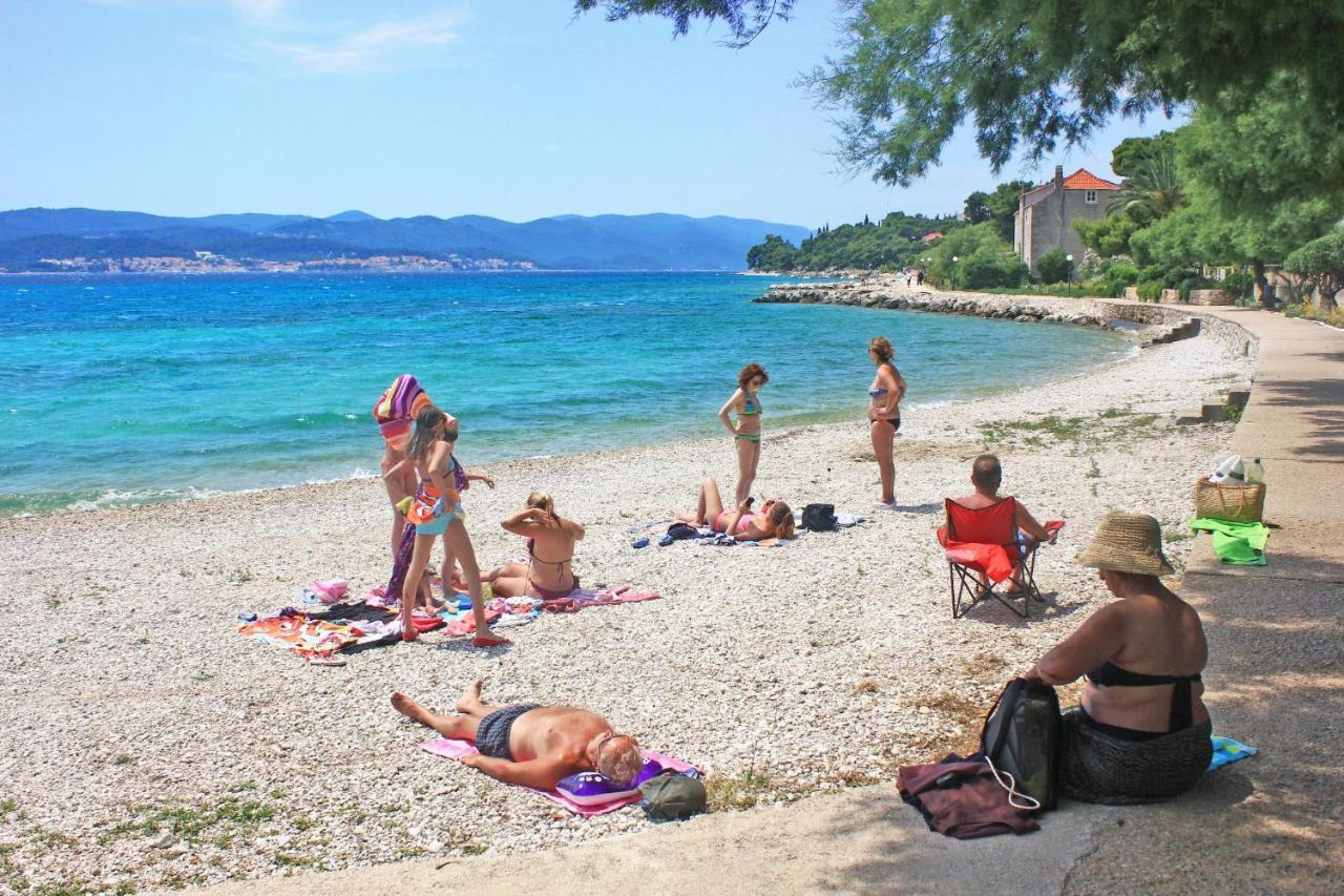Apartments And Rooms With Parking Space Orebic, Peljesac - 10192 Eksteriør bilde