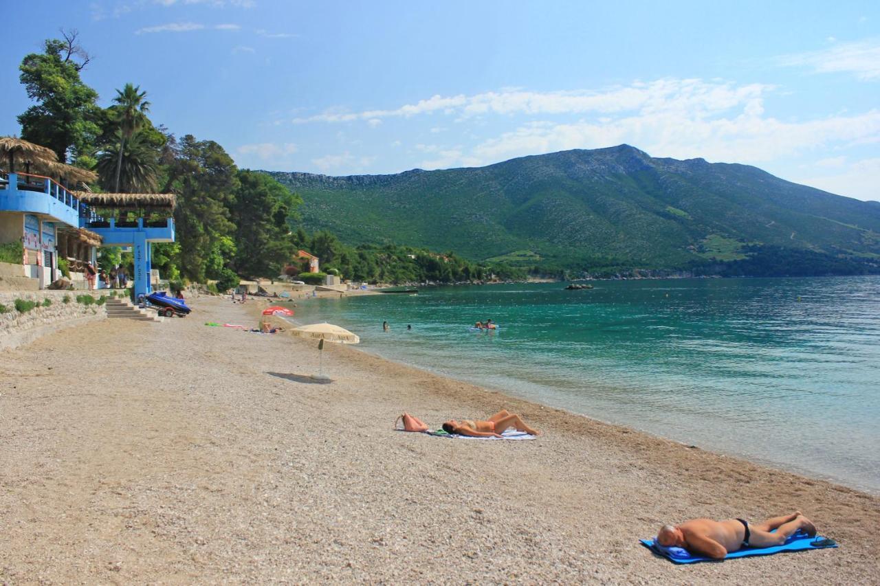Apartments And Rooms With Parking Space Orebic, Peljesac - 10192 Eksteriør bilde